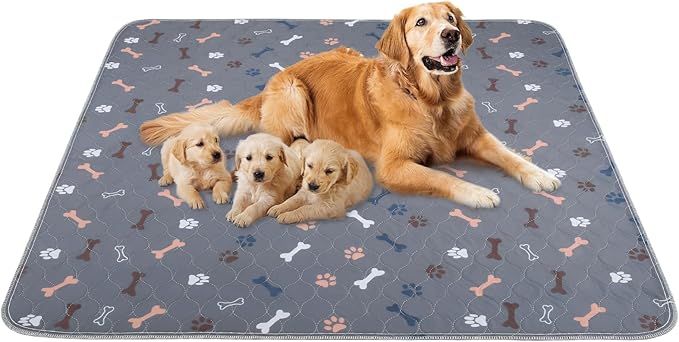 Litter & Housebreaking