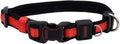 Coastal Pet - Coastal - Inspire Enhanced Core - Adjustable Collar, Red, 1" x 18"-26"