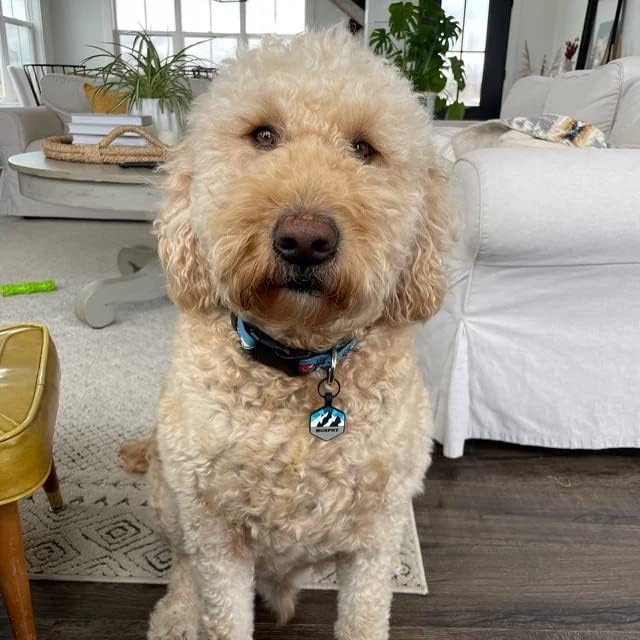 Silent Dog Tag Personalized with 5 Lines of Custom Deep Engraved Durable Soundless Silicone Pet ID Name Tag Hexagon Snow Mountain Boy