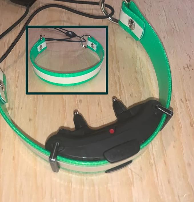 Sparky Pet Co - Surefit ECollar Replacement Strap - Bungee Dog Collar - Waterproof - Adjustable - Secure Nexus Wheel Lock - for Electronic Training & Invisible Fence Systems - 1" (Reflective Black)