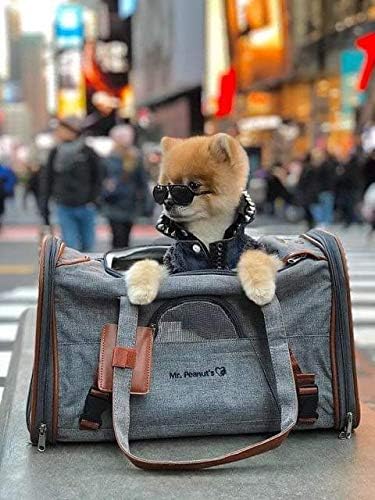 Mr. Peanut's Airline Approved Soft Sided Pet Carrier, Low Profile Gold Series Tote, Premium Brand Self Locking Zippers, Under Seat Compatibility, Plush Faux Fleece Bedding with a Sturdy Plywood Base