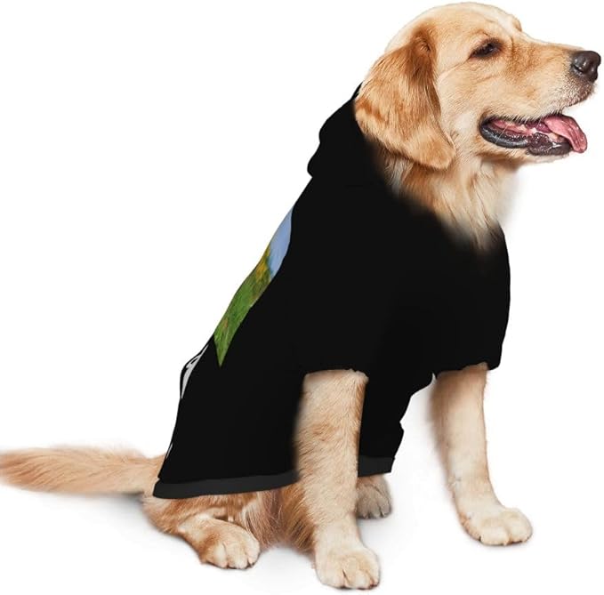 Personalized Dog Hoodie Customized with Name Photo Pet Warm Sweater Hoodie for Medium Large Dogs & Cat Puppy, SlateGray, XXL