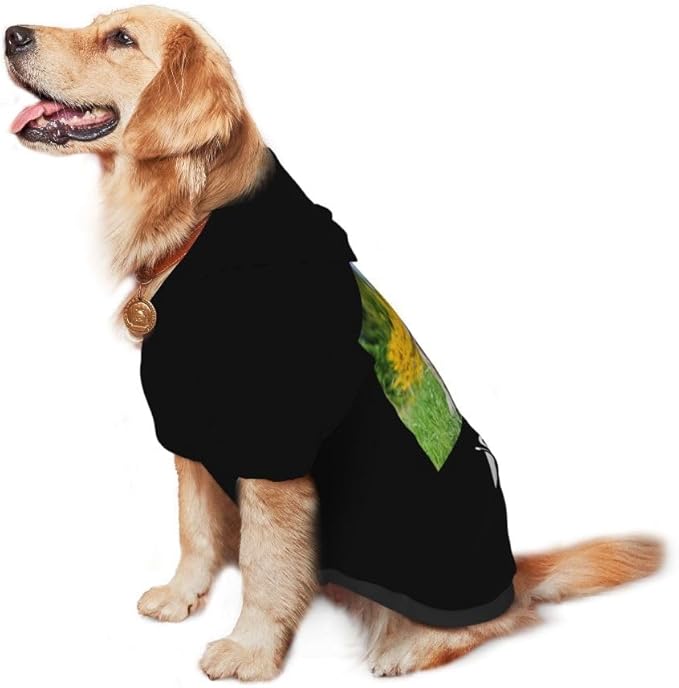 Custom Dog Clothes with Photo Name Logo Personalized Dog Sweaters for Small Medium Large Dogs Breathable Warm, Yellow, XXL