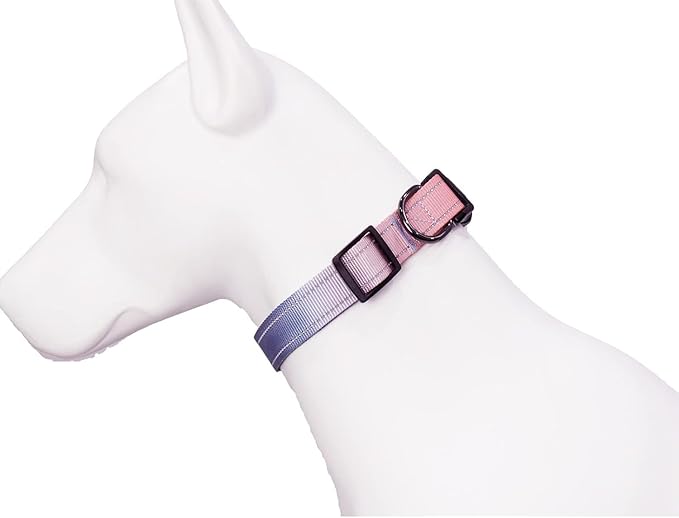 Roses&Poetry Reflective Dog Collar with Gradient Azure, Adjustable Durable Pet Collars for Small Medium Large Dogs (Azure-XS)