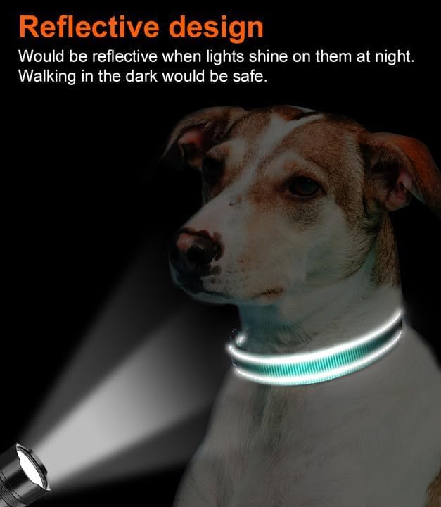 Joytale Reflective Dog Collar, Soft Neoprene Padded, Metal D-Ring, Nylon Pet Collar Adjustable for Puppy and Small Dogs, Teal, XS