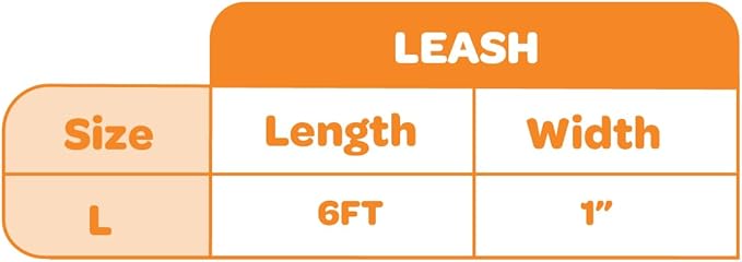 Best Pet Supplies Voyager Reflective Dog Leash or Collar with Neoprene Handle, for Small, Medium, and Large Breed Puppies, Cute and Heavy Duty for Walking, Running and Training - Black Leash, L