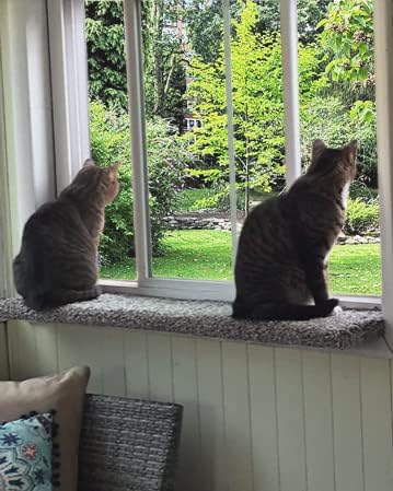 Purrched Cat Window Perch (29 Inch)