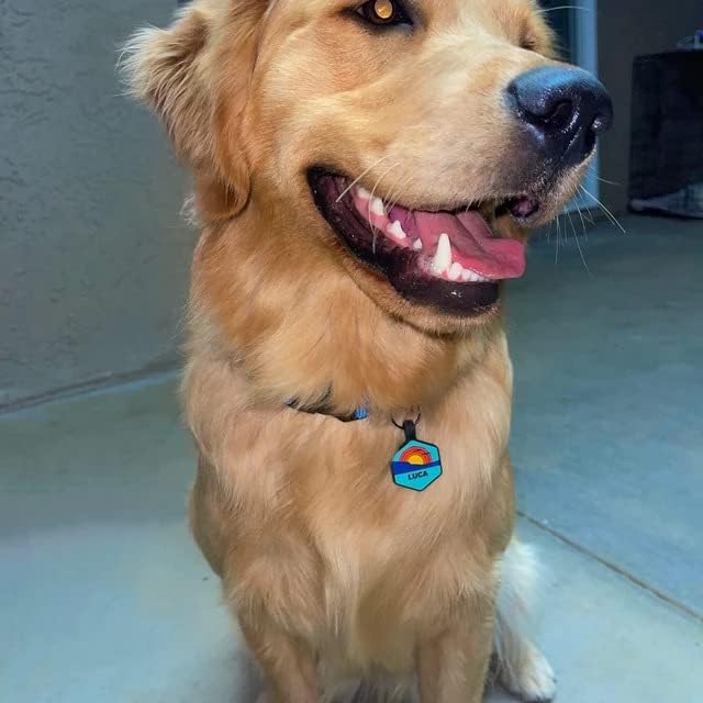 Silent Dog Tag Personalized with 5 Lines of Custom Deep Engraved Durable Soundless Silicone Pet ID Name Tag Round Mountain Orange
