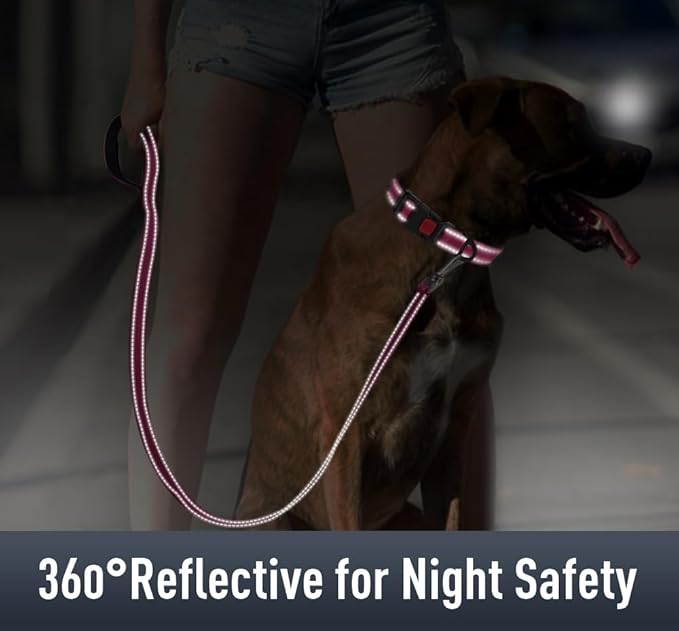Airtag Dog Collar with AirTag Holder for Puppy Small Dogs, Reflective, Soft Padded & Safety Locking Buckle, Nylon Pet Collars Adjustable for All Breeds, Hotpink,XS