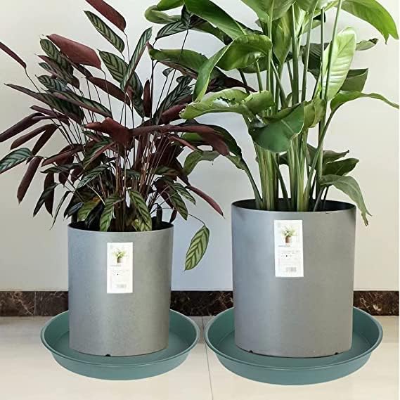 2 Pack of 8 inch Plant Saucer Clear, Heavy Duty Plastic Plant Water Tray 8 inch Round, Flower Plant Saucers for Indoors No Holes, Plant Dishes Saucer for Planter 7"/8" (8", Green)