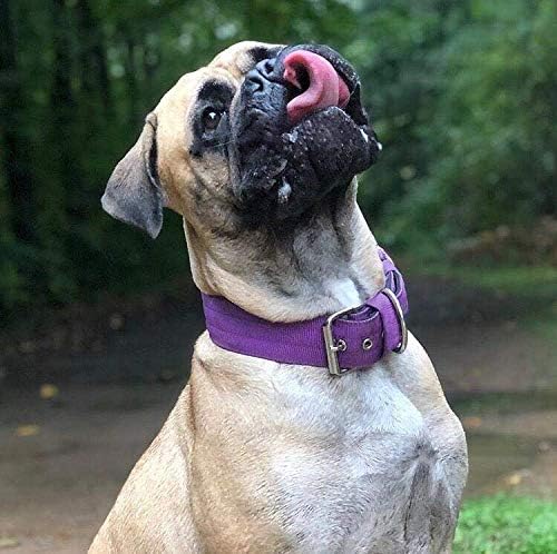 Heavy Duty Tactical Dog Collar - 1.5" Width Military Durable Thick Nylon with Adjustable Metal D Ring & Buckle Working Training K9 Collar for Medium Large Dogs (L(20"-23"), Purple)