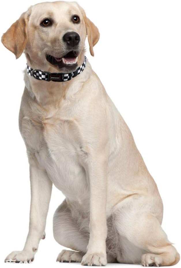 QQPETS Adjustable Soft Dog Collar: Print Flower Pink Multicolor Cute Patterns for XS Small Medium Large Pet Girl Boy Puppy Walking Running Training (M, Plaid)