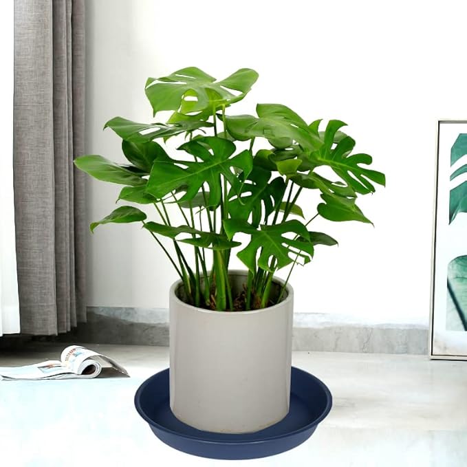 4 Pack of 18 19 inch Plant Saucer Drip Tray (16.6 inch Base), Heavy Duty Deep Plant Saucers for Pots, Plastic Flower Planter Water Trays for Indoors Outdoor (19", Blue)