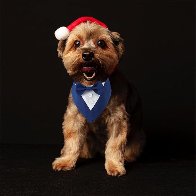 Formal Dog Tuxedo Adjustable Pet Collar with Bow, Small, Medium and Large Dog Wedding Clothing, Birthday Gifts