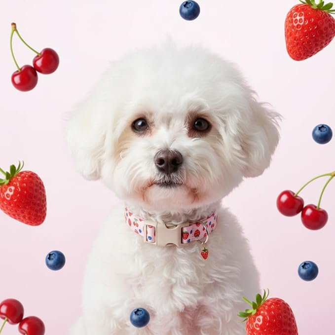 Pink Dog Collar, Female Dog Collar for Large Dogs with Strawberry, Cherry and Blueberry Print, Spring Summer Collar Made of Durable Soft Fabric, L