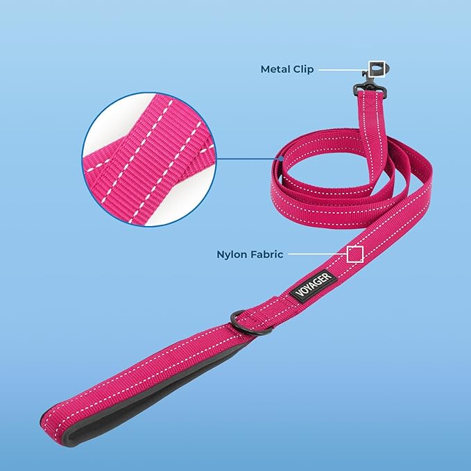 Best Pet Supplies Voyager Reflective Dog Leash or Collar with Neoprene Handle, for Small, Medium, and Large Breed Puppies, Cute and Heavy Duty for Walking, Running and Training - Fuchsia (Leash), S