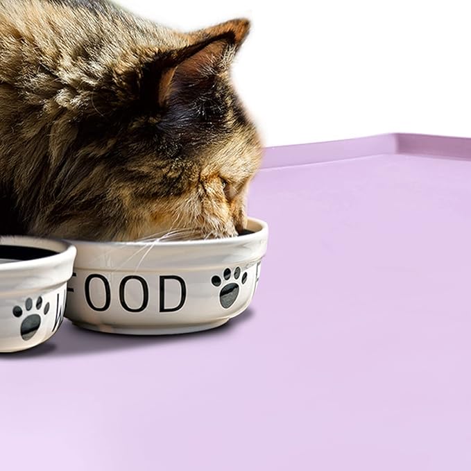 Dog Food Mat,Silicone Waterproof Food Tray,Non Slip Pet Bowl Mats Placemat,0.6" Raised Edge,Suitable for Most Small and Medium Sized Pets,18.5" x 11.5"