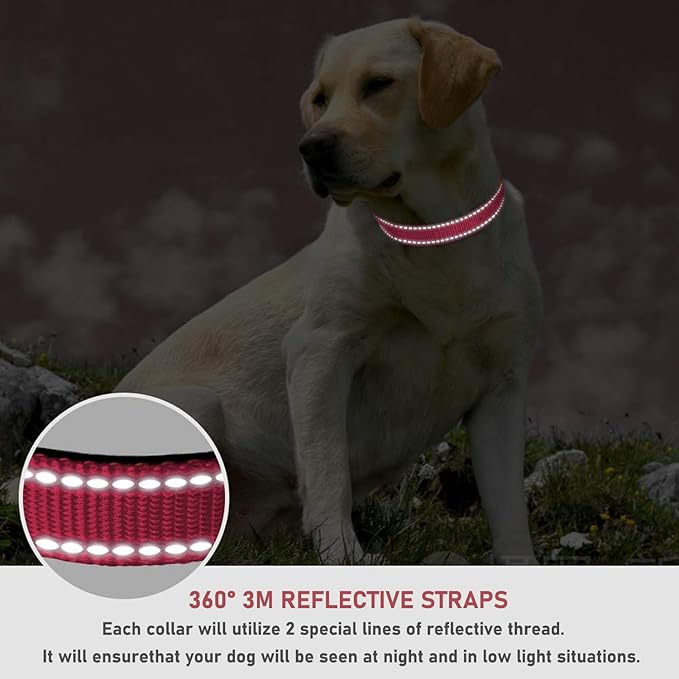 Reflective Dog Collar with Buckle Adjustable Safety Nylon Collars for Small Medium Large Dogs, Light Pink XXS