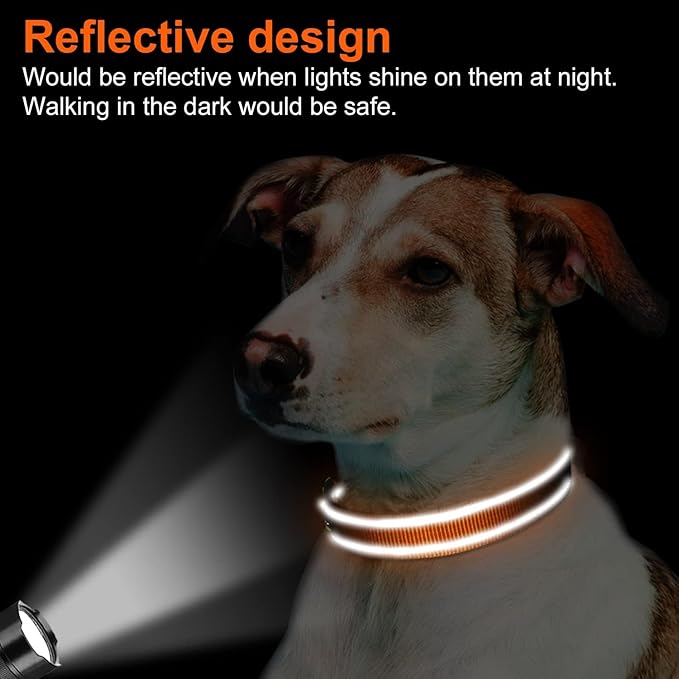 Joytale Reflective Dog Collar, Soft Neoprene Padded, Metal D-Ring, Nylon Pet Collar Adjustable for Medium Dogs, Orange, M