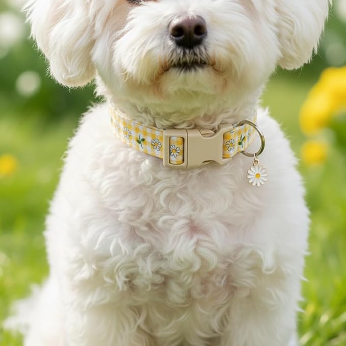Cute Dog Collar, Yellow Plaid Dog Collar with White Floral Pattern, Spring Summer Design Floral Collar for Girls Boys Medium Dogs