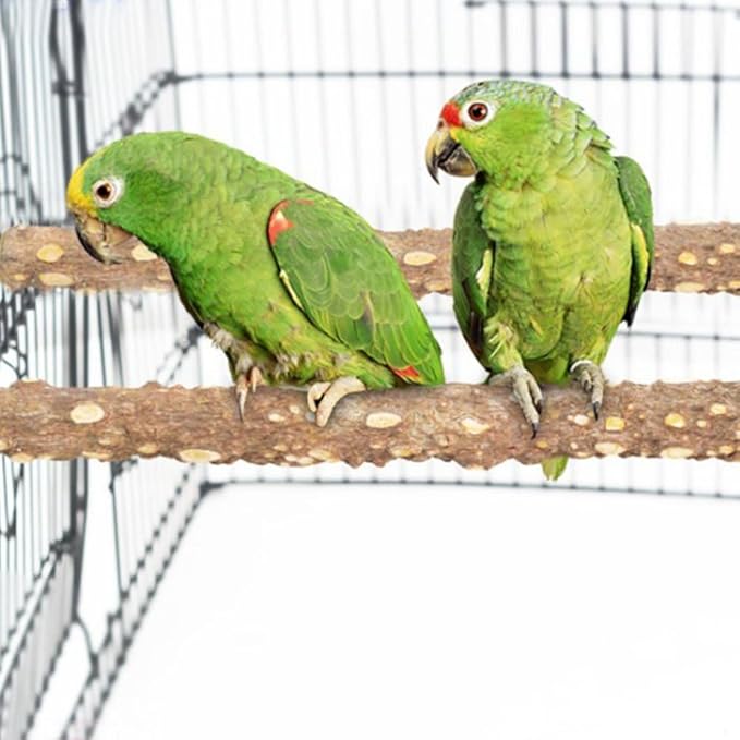 PINVNBY 3Pcs Bird Perches for Cage, Nature Wood Prickly Parrot Stand Toy Paw Grinding Stick for Small Medium Birds Parrot Parakeet Cockatiel Conure Cage Accessory