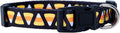 Native Pup Halloween Dog Collar- Spooky Fall Themed Horror Costume Collars- Skull, Pumpkin, Ghost, Bat, Witch, Candy Corn, Spider- Adjustable for Small, Medium, Large Breeds (Medium, Candy Corn)