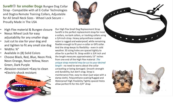 Replacement GPS eCollar with Adjustable Bungee, Multi-Hole Design, and Secure Toggle Closure for Small Dogs (Teal Blue, Small Neck)