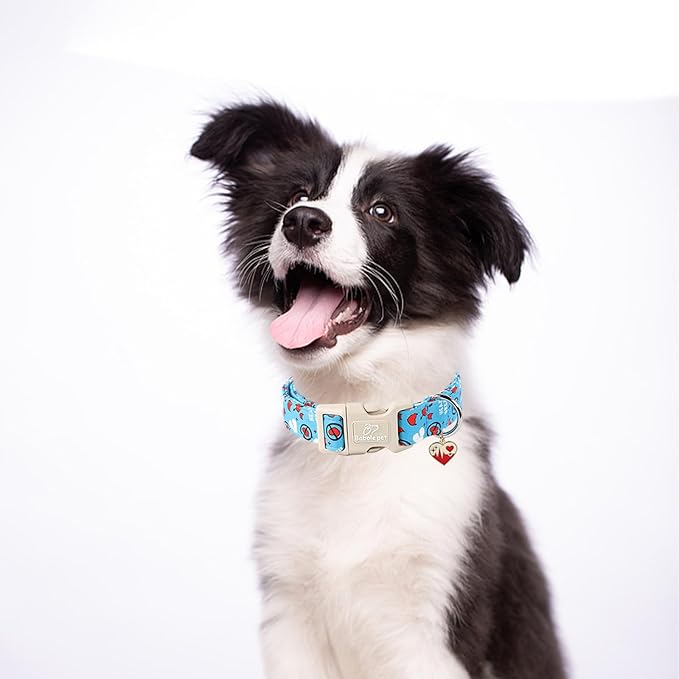 Valentines Dog Collar, Blue Heart Dog Collar, Cute Loving Heart Printed Collar with Quick Release Plastic Buckle for Boys&Girls Dogs, X-Large