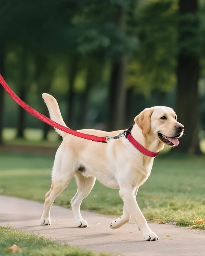 Joytale Reflective Dog Collar, Adjustable Nylon Pet Collar with Quick-Release Buckle for Medium Dogs, Red, M