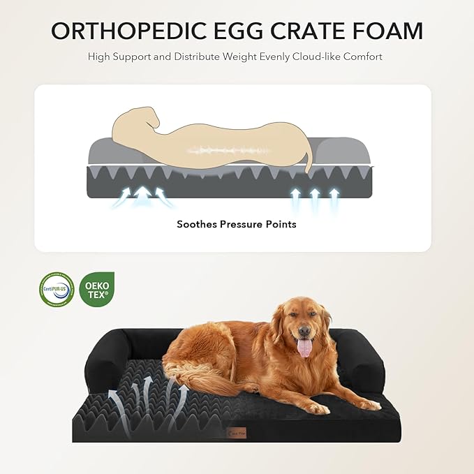 Orthopedic Dog Beds for Extra Large Dogs, Waterproof Egg Crate Foam XL Dog Bed with Sides 45x35Inch, Big Dogs Couch Beds with Removable Washable Cover and Nonskid Bottom, Black