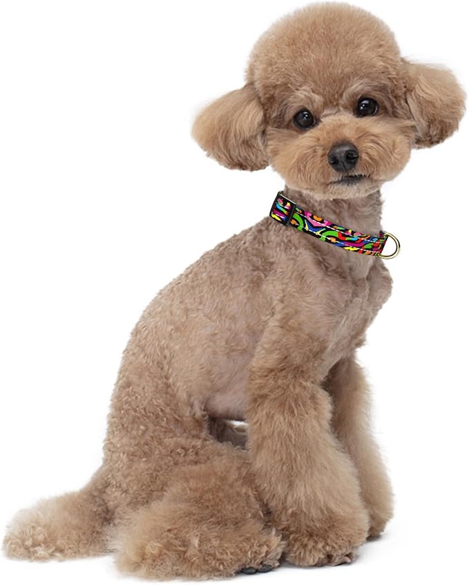 Reflective Dog Collar for Small Dogs, Cute Boho Adjustable Heavy-Duty Nylon Puppy Collar for Boy and Girl Female, Soft Pet Accessories with Quick Release Buckle, Abstract Rainbow Art
