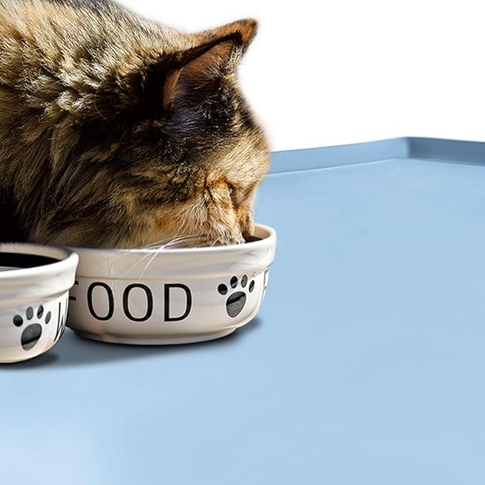 Dog Food Mat,Silicone Waterproof Food Tray,Non Slip Pet Bowl Mats Placemat,1" Raised Edge,Suitable for Most Small and Medium Sized Pets,32" x 24"