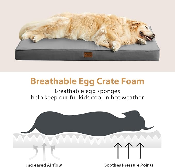 BFPETHOME Outdoor Dog Bed for Large Dogs, Waterproof, Orthopedic with Removable Washable Cover, Egg Crate Foam Mat. (42 x 30in, Dark Grey)