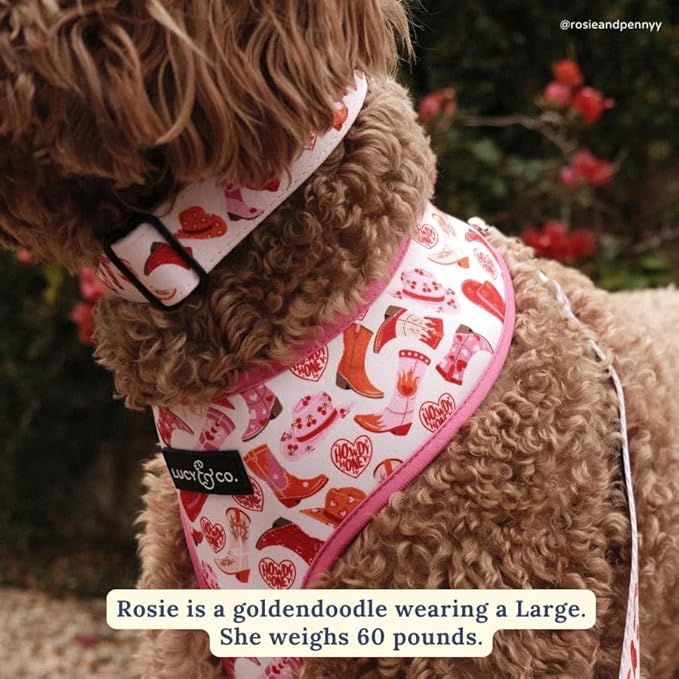 Lucy & Co. Howdy Honey Adjustable Dog Collar- Cute Designer Pet Collar for Small, Medium, Large Dogs- Buckle Closure Dog Accessories, Large, Country Print