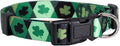 Native Pup St Patricks Dog Collar- Saint Patrick Green Shamrock Pet Collars- St. Patrick’s Lucky Irish- Cute Boy Girl Puppy Gift- Adjustable for Small, Medium, Large Breeds (Argyle, Small)