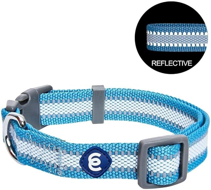 Blueberry Pet Essentials Reflective Dog Collar for Medium Dogs | Adjustable Nylon Collar in Sky Blue | Classic Solid Color Matching Medium Dog Collar
