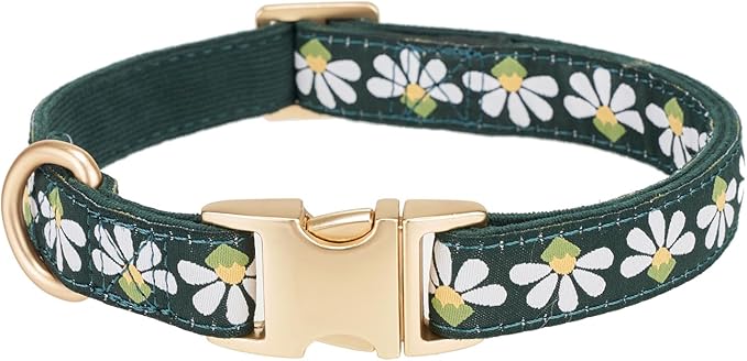 Woven Dog Collar with Metal Buckle Adjustable Jacquard Retro Dog Collars for Small Medium Large Dogs(Green,M)