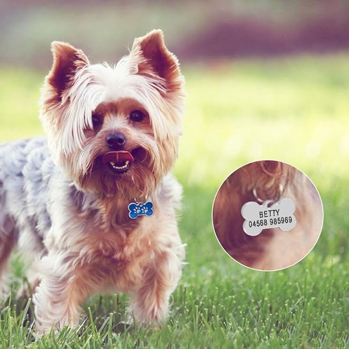 Personalized Dog Cute Paw Pet ID Tag for Pet Collar or Key Chain - cat Name tag, Personalized cat id tag, Kitten Name tag, Kitten id tag (Bone-Shaped-Small: Light Gold)