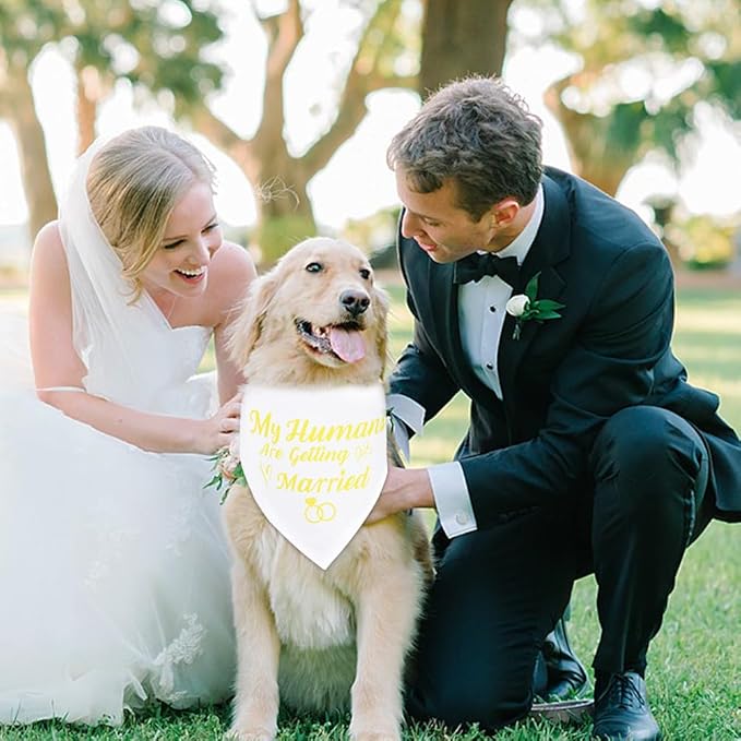 SZEE Wedding Decorations for Pets, 2 Pack My Humans are Getting Married Dog Bandanas, Engagement Party Decorations, Wedding or Engagement Gift for Couples, Dog Wedding Bandanas (Gold, L)