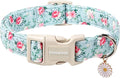 DOGWONG Floral Dog Collar, Cute Adjustable Flower Collar, Girl Female Dog Collar with Strong Plastic Buckle for Small Medium Large Dogs,M