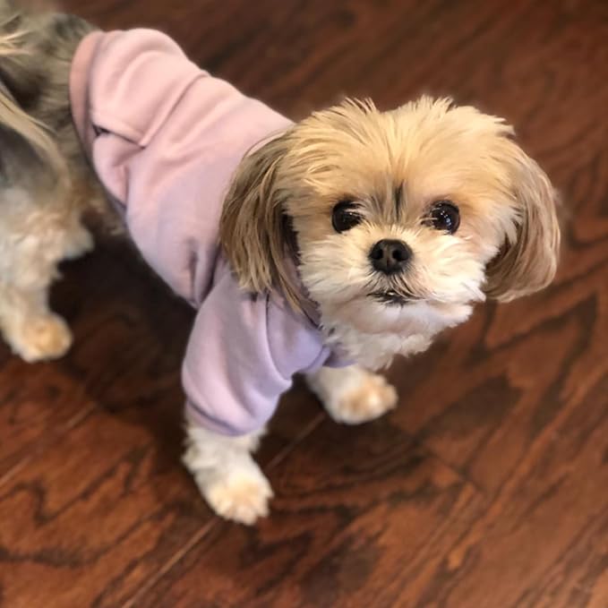 Jecikelon Winter Dog Hoodie Sweatshirts with Pockets Warm Dog Clothes for Small Dogs Chihuahua Coat Clothing Puppy Cat Custume (Purple, Medium)