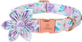 Lionheart Glory Dog Collar, Purple Dog Collar with Flower, Cute Floral Pattern Pet Collar Adjustable Dog Collar for Medium Dogs