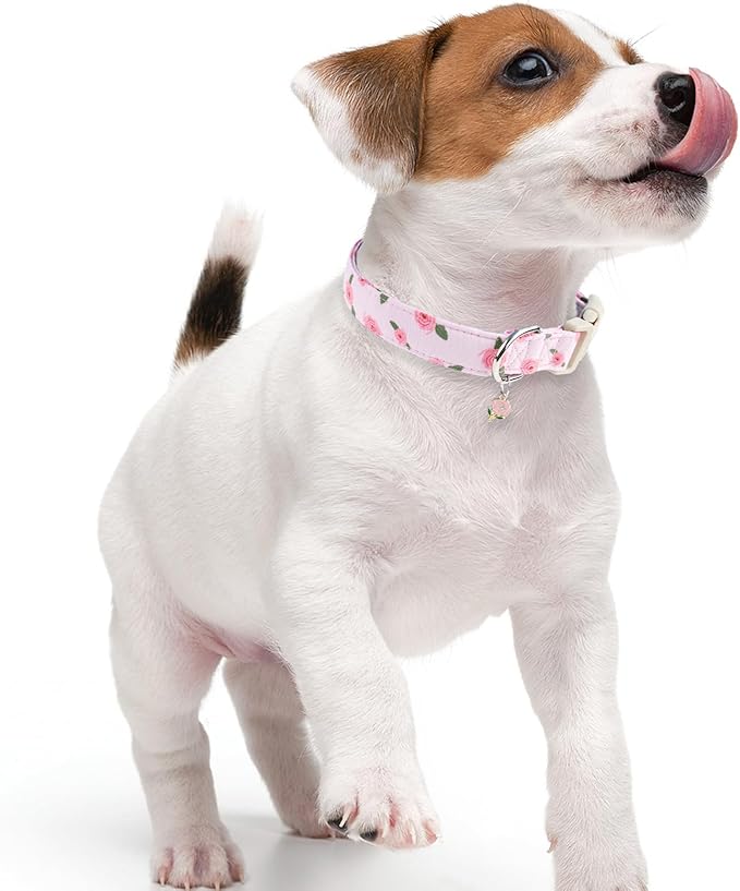 Faygarsle Pink Floral Dog Collar with Roses Pattern, Spring Summer Design for Small Medium Large Dogs XS