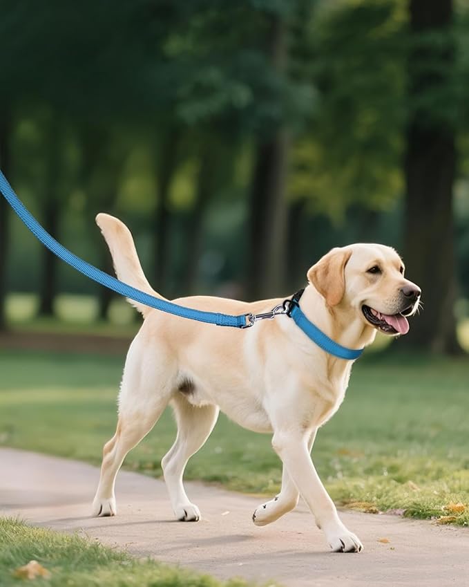 Joytale Large Dog Collar, Reflective and Adjustable Nylon Pet Collar with Quick-Release Buckle for Extra Large Dogs, Sky Blue, XL