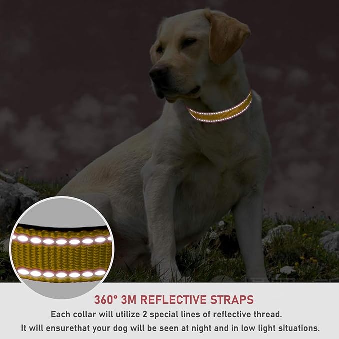 Reflective Dog Collar with Buckle Adjustable Safety Nylon Collars for Small Medium Large Dogs, Brown L