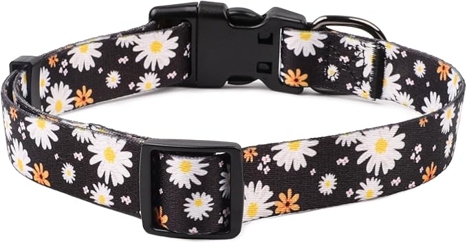 QQPETS Adjustable Soft Dog Collar: Print Flower Pink Multicolor Cute Patterns for XS Small Medium Large Pet Girl Boy Puppy Walking Running Training (XS, White Daisy)