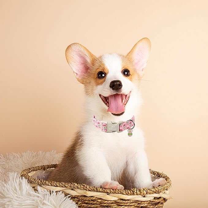 Easter Dog Collar for Small Dogs - Cowgirl Chick Easter Collars for Dogs, Pink Girl Dog Collar, Adjustable Spring Holiday Pet Collars with Quick Release Buckle S