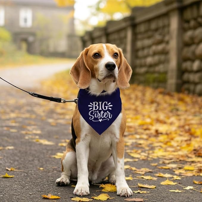Big Sister Dog Bandanas, Dark Blue Dog Bandana, Pet Triangle Scarf Accessories, Pet Bandanas for Small Medium Large Dogs, Baby Announcement Dogs Bandana (M)