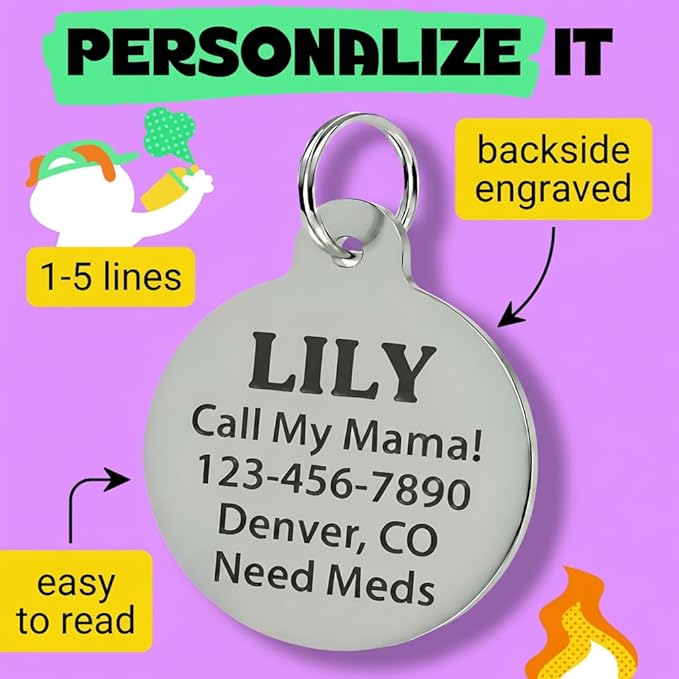 Bad Tags Personalized Dog and Cat ID Tags in 25+ Designs and 2 Sizes - 5 Lines of Custom Engraved Text - Funny Cute Personalized Pet Tags (Invader of Personal Space - Pink, Small (1 inch))