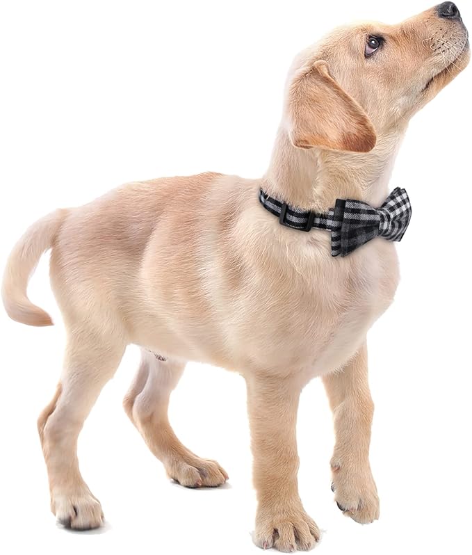 Faleela Soft &Comfy Bowtie Dog Collar,Detachable and Adjustable Bow Tie Collar,for Small Medium Large Pet (Medium (Pack of 1), Black and Whit)